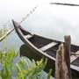 Darjeeling Field Recordings