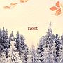 Nest Nest