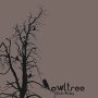 Owltree