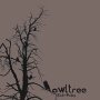 Owltree Owltree